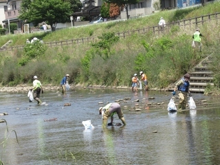 写真：大栗川の定例清掃活動2