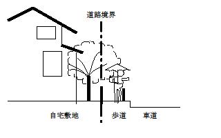 イラスト：庭木の枝葉がはみ出しているイメージ