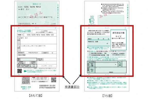 写真：マイナンバー通知カードの申請書部分