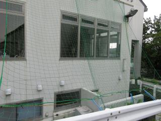 写真:追加設置したつるネット1