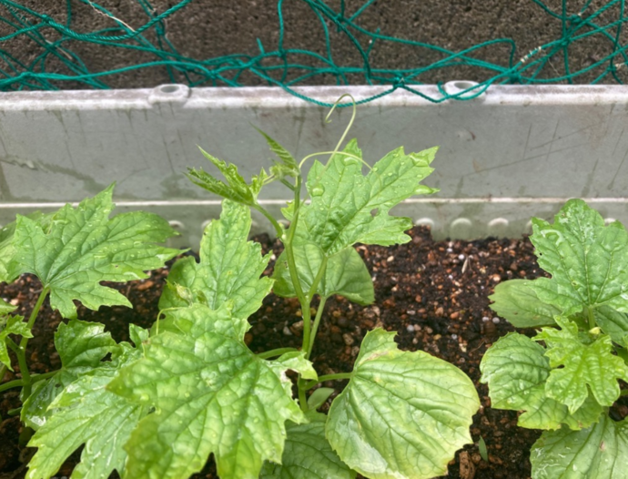 6月10日2枚目