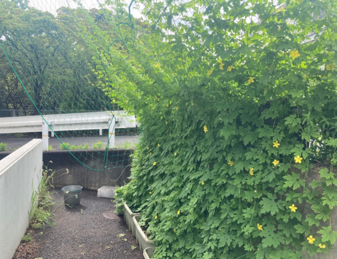 7月14日撮影
