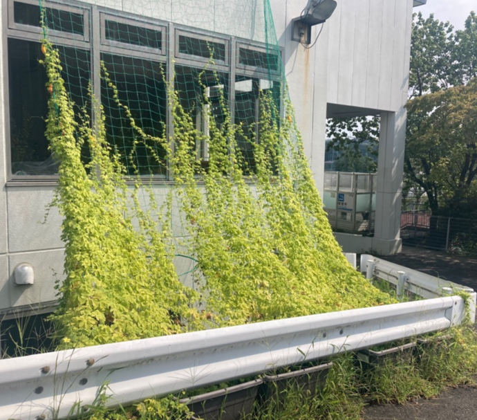 9月11日撮影