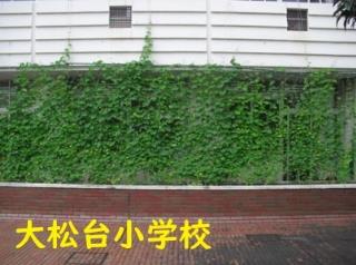 写真：大松台小学校
