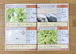 写真：多摩市生き物図鑑と生き物マップ3