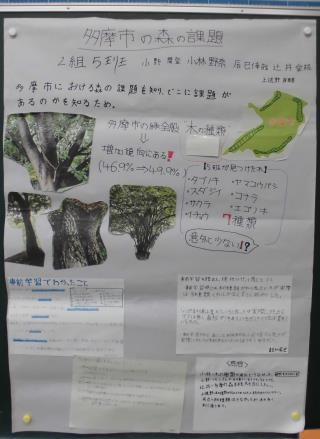 写真：多摩市の森の課題