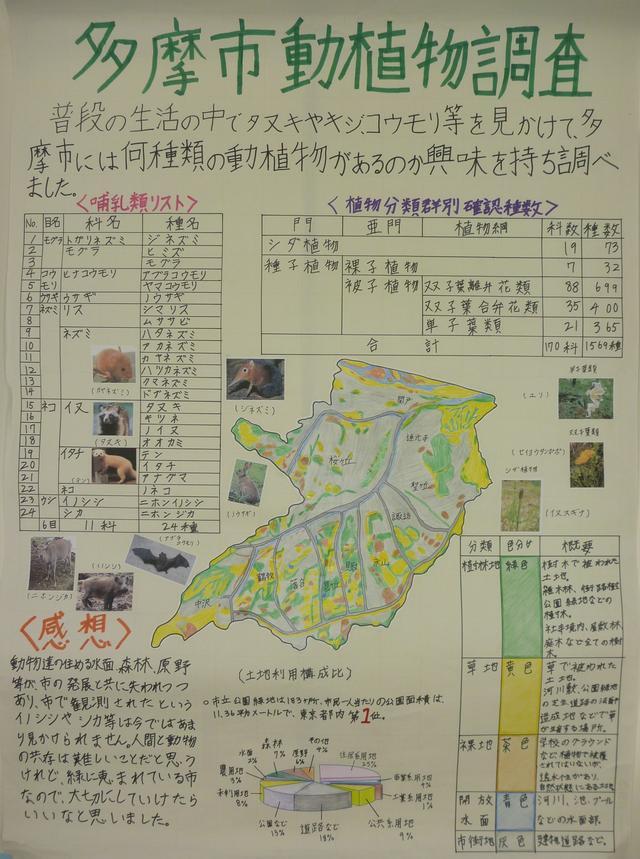 写真：多摩市動植物調査