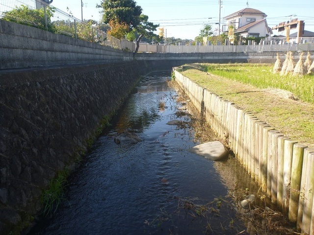 写真:現在の水路