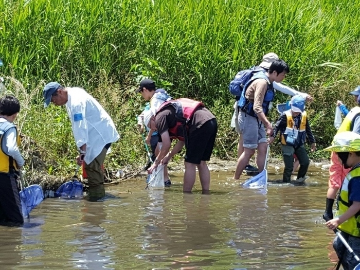 写真:川の生き物調査風景