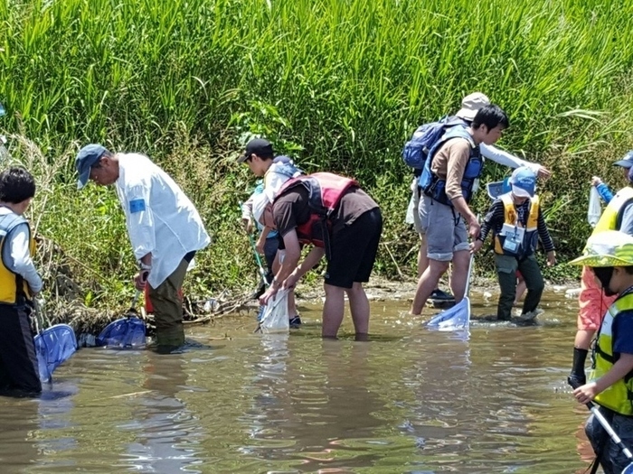 写真：川の生き物調査風景