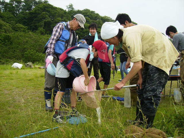 写真：川の生き物観察会2