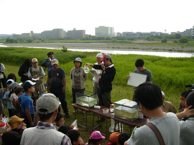 写真：川の生き物観察会3