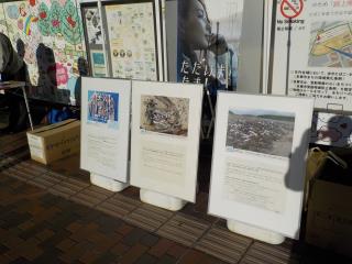写真:海ごみ問題パネル展示の様子