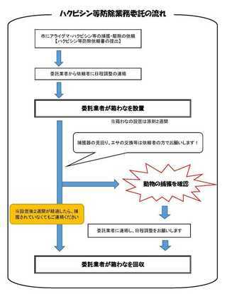 イラスト：ハクビシン等防除業務委託フロー