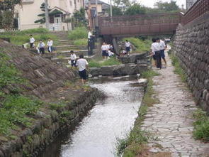 写真：中学生による水路の清掃活動