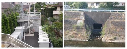 写真：多摩市内のポンプ施設と排水樋管