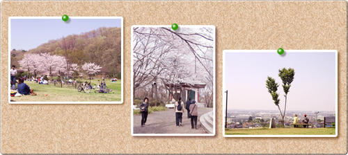 都立桜ヶ丘公園写真2