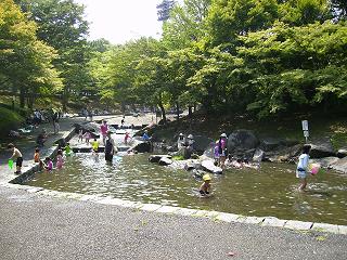 写真：一本杉公園の水遊び場