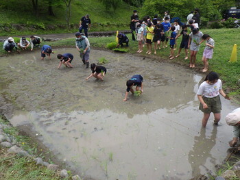 写真:令和4年度 田植え2