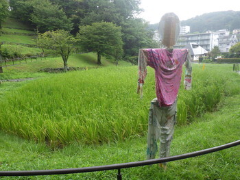写真:令和4年度 カカシの設置5