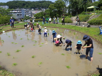 写真:令和3年度 田植え1