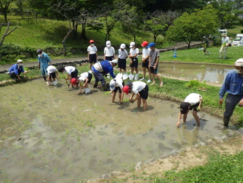 写真:令和3年度 田植え1