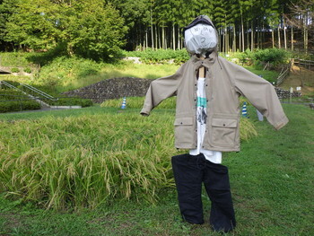 写真:令和3年度 カカシの設置5