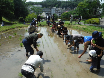写真：令和4年度　田植え1
