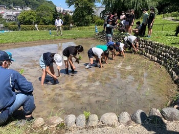 植付け写真2