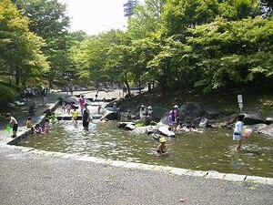 写真：一本杉公園