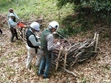 写真：雑木林での活動