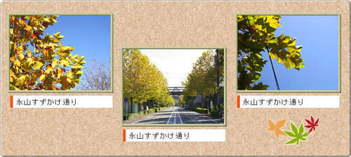 写真：永山すずかけ通りのズズカケノキ並木のコラージュ画像