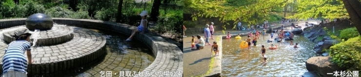 乞田・貝取ふれあい広場公園と一本杉公園の写真