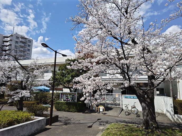 写真：春の豊ヶ丘児童館入口