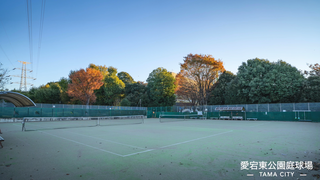 愛宕東公園庭球場写真2