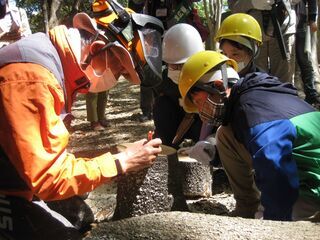 写真：樹木伐採起工式の様子7