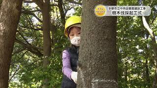 動画サムネイル：【多摩テレビOfficial】多摩市立中央図書館建設工事 樹木伐採起工式