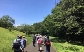 写真：多摩さわやかウォーキング大会