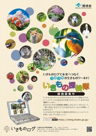 写真：いきものログちらし表