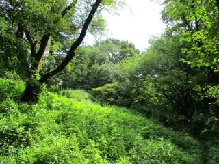 写真：都立桜ヶ丘公園の風景
