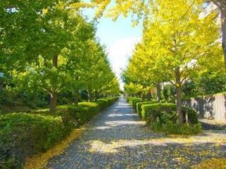 写真：日本一長い遊歩道