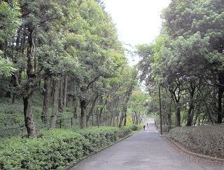 写真：整備前の様子（平成25年度諏訪地区〕