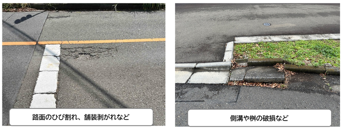 対象となる損傷事例の画像