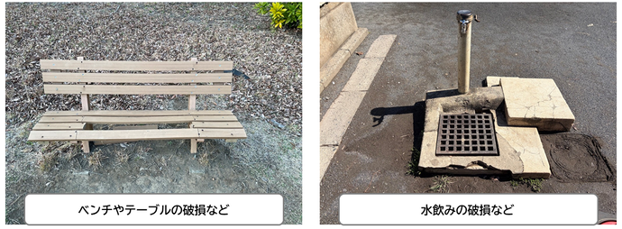 損傷事例の画像