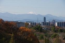 写真：連光寺ひぐらし坂から見る富士山　平成21年12月7日撮影