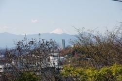 写真：連光寺ゆうひの丘から見る富士山　平成21年12月7日撮影