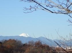 写真：記念館通り旧農業者大学校付近から眺める富士山　平成22年12月10日撮影