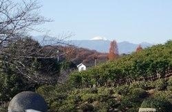 写真：鶴牧第2公園から見渡す富士山　平成22年12月10日撮影