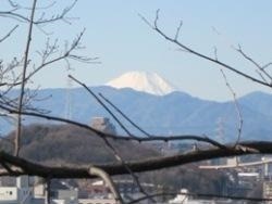 写真：馬引沢緑地から見る富士山　平成23年1月18日撮影
