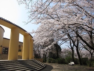 都立桜ヶ丘公園の写真2
